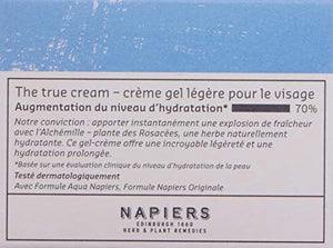 Belif the True Cream Aqua Bomb | Moisturizer for Combination to Oily Skin | Face Cream, Hydration, Clean Beauty