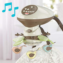 Load image into Gallery viewer, Fisher-Price My Little Snugabunny Cradle 'n Swing, One Size
