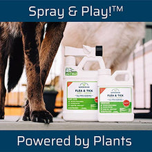 Load image into Gallery viewer, Wondercide - Flea, Tick, and Mosquito Yard Spray Refill Starter Kit - Powered by Natural Essential Oils – Insect Killer and Repellent - Lawn Treatment - 32 oz Ready to Use and 16 oz Concentrate
