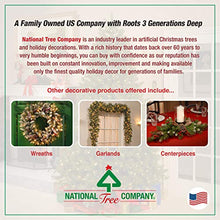 Load image into Gallery viewer, National Tree Company Pre-lit Artificial Mini Christmas Tree | Includes Small Lights and Cloth Bag Base | Great For Tabletop or Desk | Burlap - 4 ft

