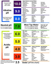 Load image into Gallery viewer, pH Test Strips for Testing Alkaline and Acid Levels in The Body. Track &amp; Monitor Your pH Level Using Saliva and Urine. Get Highly Accurate Results in Seconds.
