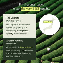 Load image into Gallery viewer, Encha Ceremonial and Culinary Grade Matcha Green Tea - First Harvest Organic Japanese Matcha Green Tea Powder, From Uji, Japan (Organic Culinary, 1 Pound (Pack of 1))
