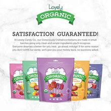 Load image into Gallery viewer, ORGANIC Lollipops - Lovely Co. 7oz Bag (40 count) - Strawberry, Pomegranate, Mango &amp; Grape Flavors | NO HFCS, GLUTEN or Fake Ingredients, 100% VEGAN &amp; Kosher!
