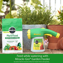 Load image into Gallery viewer, Miracle-Gro Water Soluble Plant Food Vegetables &amp; Herbs 2 lb
