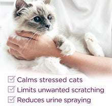 Load image into Gallery viewer, Comfort Zone Cat Calming Diffuser Kit, Cat Pheromone, 3 Diffusers and 6 Refills-48ml, New Formula
