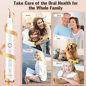 Plaque Remover for Teeth, Electric Tooth Cleaner Tartar Remover for Teeth with LED Light,4 Modes Rechargeable Teeth Cleaning Kit with Dental Tools, 2 Replaceable Heads