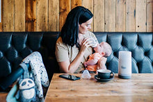 Load image into Gallery viewer, Tommee Tippee Closer to Nature Portable Travel Baby Bottle Warmer - Multi Function -  BPA Free
