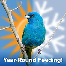 Load image into Gallery viewer, Blue Seal Songbird Surprise Suet Treat Bar | Attracts Wild Birds | 8 oz (12 Pack)
