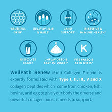 Load image into Gallery viewer, Renew Multi Collagen Protein Powder - 5 Types of Collagen - Hydrolyzed Grass-Fed Bovine, Marine, Chicken and Egg Collagen Peptides - Type I, II, III, V, and X - Keto Friendly Supplement
