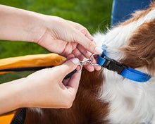 Load image into Gallery viewer, Schwinn Rascal Bike Pet Trailer, For Small and Large Dogs, Small, Orange
