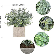 Load image into Gallery viewer, Auelife Artificial Plants 3PCS 9-10IN Mini Potted Plants, Fake Eucalyptus / Glossy Grass / Pale Grass Plants (Square Pot) Faux Lifelike Flower Greenery Decor for Home Office Farmhouse Bathroom
