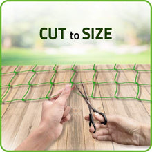Load image into Gallery viewer, De-Bird: Trellis Netting for Climbing Garden Plants, Grow Garden Flowers, Green Pea and Vine Plants
