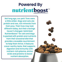 Load image into Gallery viewer, Solid Gold NutrientBoost Katz N Flocken - Dry Cat Food with Lamb, Rice &amp; Pearled Barley - Digestive Probiotics for Cats - Gut Health &amp; Immune Support - Grain Free - Superfood &amp; Antioxidant Support
