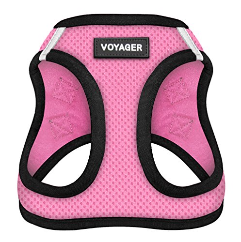 Voyager Step-In Air Dog Harness - All Weather Mesh Step in Vest Harness for Small and Medium Dogs by Best Pet Supplies - Pink Base, XS