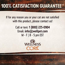 Load image into Gallery viewer, Wellness CORE Tiny Tasters Wet Cat Food, Complete &amp; Balanced Natural Pet Food, Made with Real Meat, 1.75-Ounce Pouch, 12 Pack (Adult Cat, Chicken Pate)
