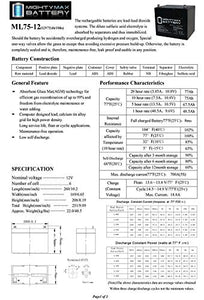 Mighty Max Battery 12V 75AH Battery Replacement for Interstate HD24-DP Brand Product
