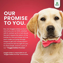 Load image into Gallery viewer, Doggie Dailies Bundle - 5-in-1 Multivitamin &amp; Salmon Oil for Dogs
