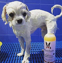 Load image into Gallery viewer, Warren London 2in1 Pet Shampoo and Conditioner for Dogs, Puppys, &amp; Cats | Best Dog Shampoo and Conditioner for Dry Itchy Skin | Dandruff Shampoo for Dogs | Made in USA | 17oz
