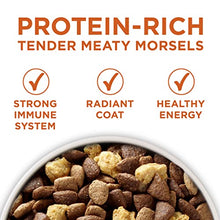 Load image into Gallery viewer, Purina ONE Natural, Weight Control Dry Dog Food, +Plus Healthy Weight Formula - 31.1 lb. Bag
