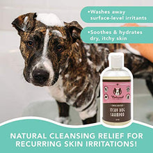 Load image into Gallery viewer, Natural Dog Company Itchy Dog Shampoo (12oz) | Natural and Hypoallergenic | Non-Toxic and Paraben-Free | Dog Shampoo for Itchy Skin Relief and Coat Health | Hydrates, Soothes and Heals Irritations
