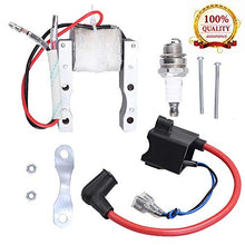 Load image into Gallery viewer, High Performance CDI Ignition Coil + Magneto Coil + Spark Plug for 49cc-80cc 2-Stroke Engine Motorized Bicycle Bike
