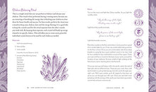 Load image into Gallery viewer, The Good Witch&#39;s Guide: A Modern-Day Wiccapedia of Magickal Ingredients and Spells (Volume 2) (The Modern-Day Witch)
