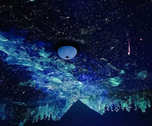 Load image into Gallery viewer, 1 Gallon Luminous Glow in The Dark Paint
