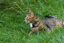 Load image into Gallery viewer, Cat Tracker RF Finder Longest Range up to 1600 ft lightest pet Safety Tracking Device only 0.28oz Small Pets Dog Girafus Pro-Track-tor Pet Tracker

