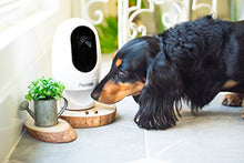 Load image into Gallery viewer, Pawbo Life Pet Camera: WiFi HD Video with 2-Way Audio, Treat Dispenser and Laser Game, Designed for Dogs and Cats
