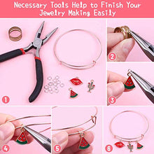 Load image into Gallery viewer, 300Pcs Bangle Bracelets Making Kit, Thrilez Charm Bracelet Making Kit with Expandable Bangles, Charms, Jump Rings and Pliers for Jewelry Making Bangle Bracelets (with Gift Box and Tools)
