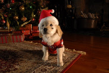 Load image into Gallery viewer, Santa Buddies: The Legend Of Santa Paws
