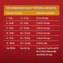 Load image into Gallery viewer, Purina ONE Natural Dry Dog Food, SmartBlend Chicken &amp; Rice Formula - 40 lb. Bag
