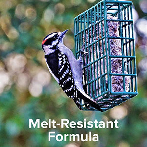 Blue Seal Cherry Bird Suet Cake | No Mess Wild Bird Suet | 11 oz (12 Pack)