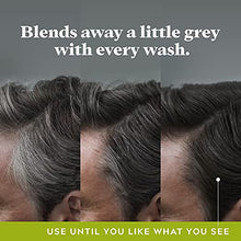 Load image into Gallery viewer, Just For Men Control GX Grey Reducing Shampoo, Gradual Hair Color for Stronger and Healthier Hair, 4 Fl Oz - Pack of 3 (Packaging May Vary)
