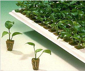 1.5 inch Rockwool/Stonewool Grow Cubes Starter Sheets for Cuttings, Cloning, Plant Propagation, Seed Starting Hydroponic Grow Media Growing Medium for Vigorous Plant Growth (28, 1.5)