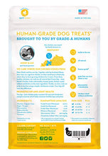 Load image into Gallery viewer, Spot Farms Chicken Jerky Healthy All Natural Dog Treats Human Grade For Hip And Joint 12 oz
