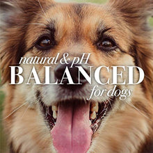 Load image into Gallery viewer, Burt's Bees for Dogs Natural Itch Soothing Spray with Honeysuckle | Best Anti-Itch Spray for Dogs With Itchy Skin | Cruelty Free, Sulfate &amp; Paraben Free, pH Balanced for Dogs - Made in the USA, 10 Oz
