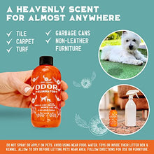 Load image into Gallery viewer, ANGRY ORANGE Pet Odor Eliminator for Home - 8oz Dog &amp; Cat Urine Smell Remover - Citrus Concentrate - Makes a Gallon (128 oz)
