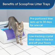 Load image into Gallery viewer, PetSafe PAL00-14242 ScoopFree Original Self-Cleaning Cat Litter Box - Automatic with Disposable Tray and Non-Clumping Crystal Litter - Purple
