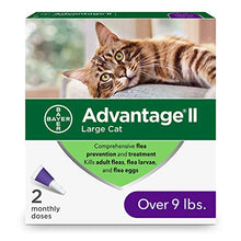 Load image into Gallery viewer, Advantage II 2-Dose Flea Prevention and Treatment for Large Cats, Over 9 Pounds
