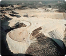 Load image into Gallery viewer, Food Grade Diatomaceous Earth -1 Pound - Non-Toxic Organic, Powder-Safe for Humans, Dogs and Cats
