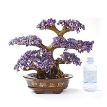 Load image into Gallery viewer, KALIFANO Natural Amethyst Gemstone Chakra Crystal Tree with Healing Properties - Bonsai Feng Shui Money Tree for Positive Energy, Luck and Wealth
