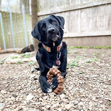 Load image into Gallery viewer, Nylabone Power Chew Textured Dog Chew Ring Toy Flavor Medley Flavor X-Large/Souper - 50+ lbs.
