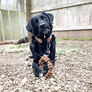 Nylabone Power Chew Textured Dog Chew Ring Toy Flavor Medley Flavor X-Large/Souper - 50+ lbs.