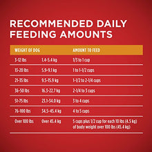 Load image into Gallery viewer, Purina ONE Natural Dry Dog Food, SmartBlend Chicken &amp; Rice Formula - 40 lb. Bag
