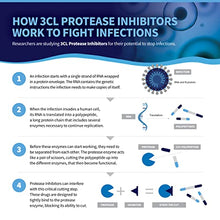 Load image into Gallery viewer, Tollovid ™ Maximum Protection Natural Dietary Supplement for Immune Support
