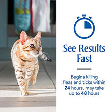 Load image into Gallery viewer, PetArmor Plus for Cats, Flea &amp; Tick Prevention for Cats (Over 1.5 lb), Includes 6 Month Supply of Topical Flea Treatments

