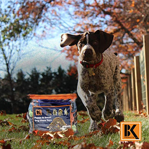 BK PRODUCTS LLC Dog Toys - 13 Puppy Dog Rope Toys - Chew Toy for Puppy Small and Medium Dogs - Puppy Chew Toys - Dog Toy Pack - Set of 13 Chew Toys and Teething Toys with Bonus Storage Bag