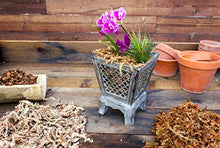 Load image into Gallery viewer, SuperMoss (22330) Orchid Sphagnum Moss Dried, Natural, 2.4lbs Small Bale
