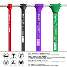 Load image into Gallery viewer, TheFitLife Resistance Pull Up Bands - Pull-Up Assist Exercise Bands, Long Workout Loop Bands for Body Stretching, Powerlifting, Fitness Training, with Carrying Bag and Workout Guide - Full Set
